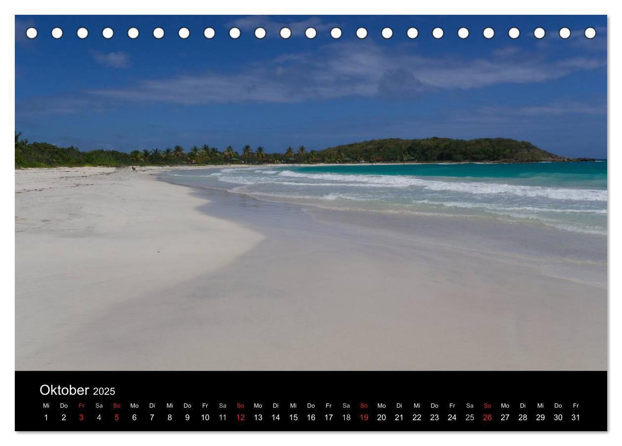 Bild: 9783435456277 | Trauminsel Puerto Rico (Tischkalender 2025 DIN A5 quer), CALVENDO...