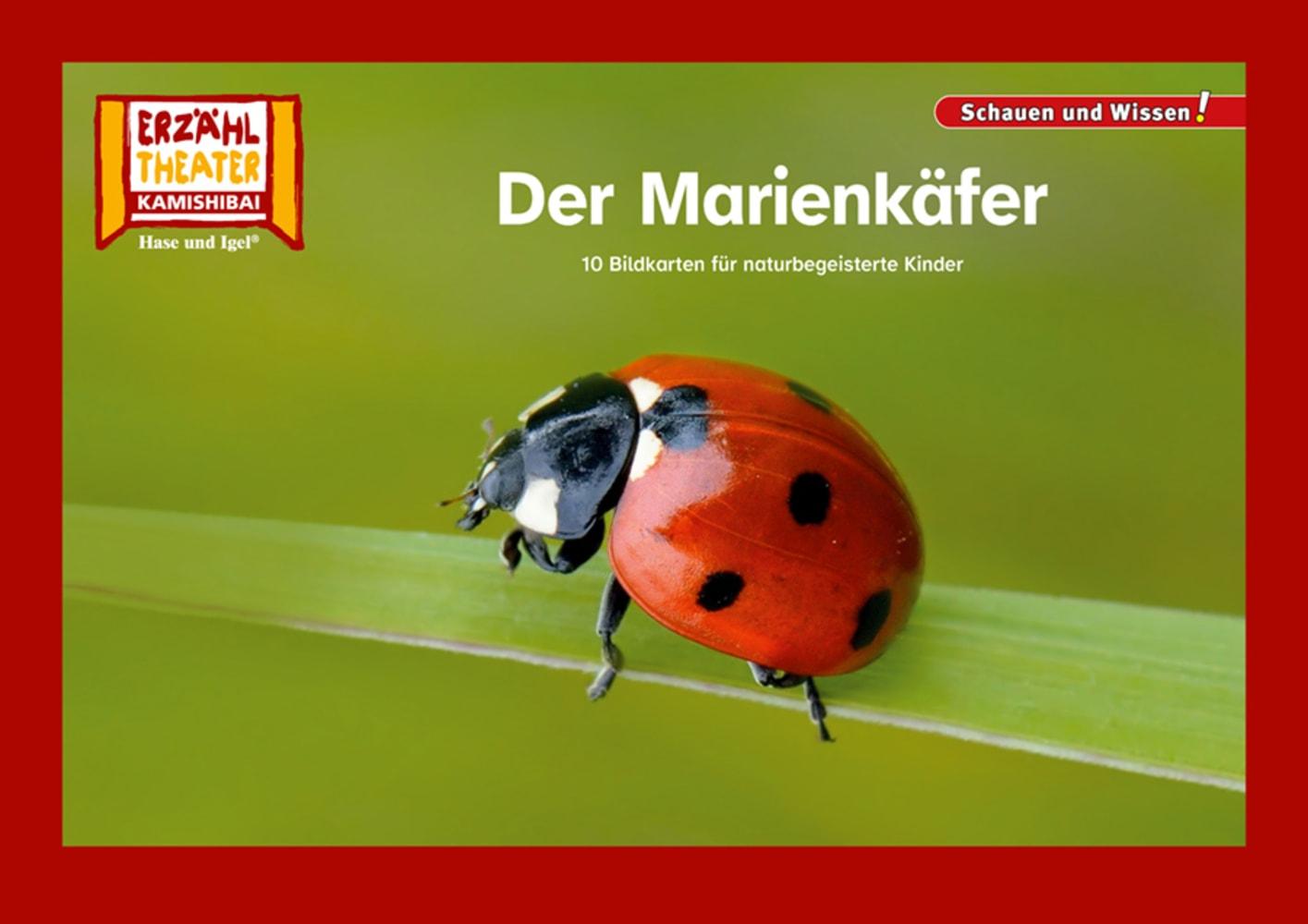 Cover: 4260505832940 | Der Marienkäfer / Kamishibai Bildkarten | Taschenbuch | 12 S. | 2024