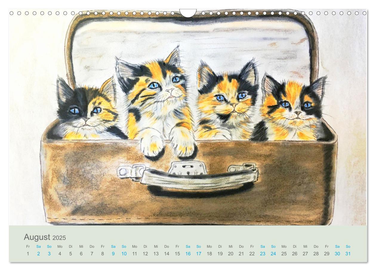 Bild: 9783435097487 | KATZEN PortraiTierART (Wandkalender 2025 DIN A3 quer), CALVENDO...