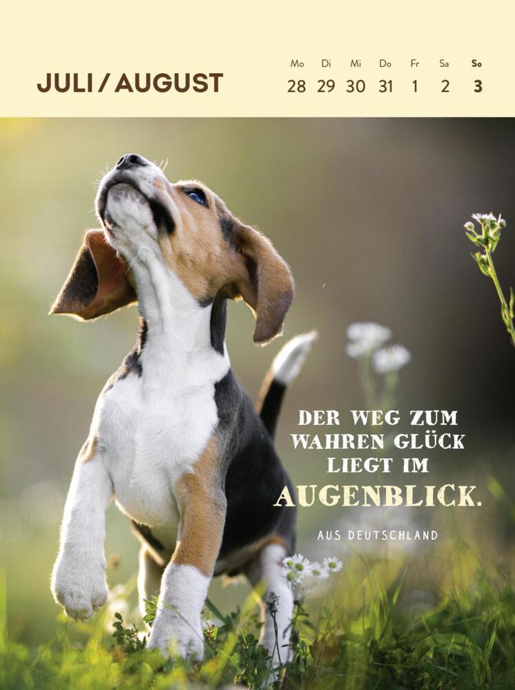 Bild: 4036442012123 | Wochenkalender 2025: Hunde sind die besten Freunde | Groh Verlag