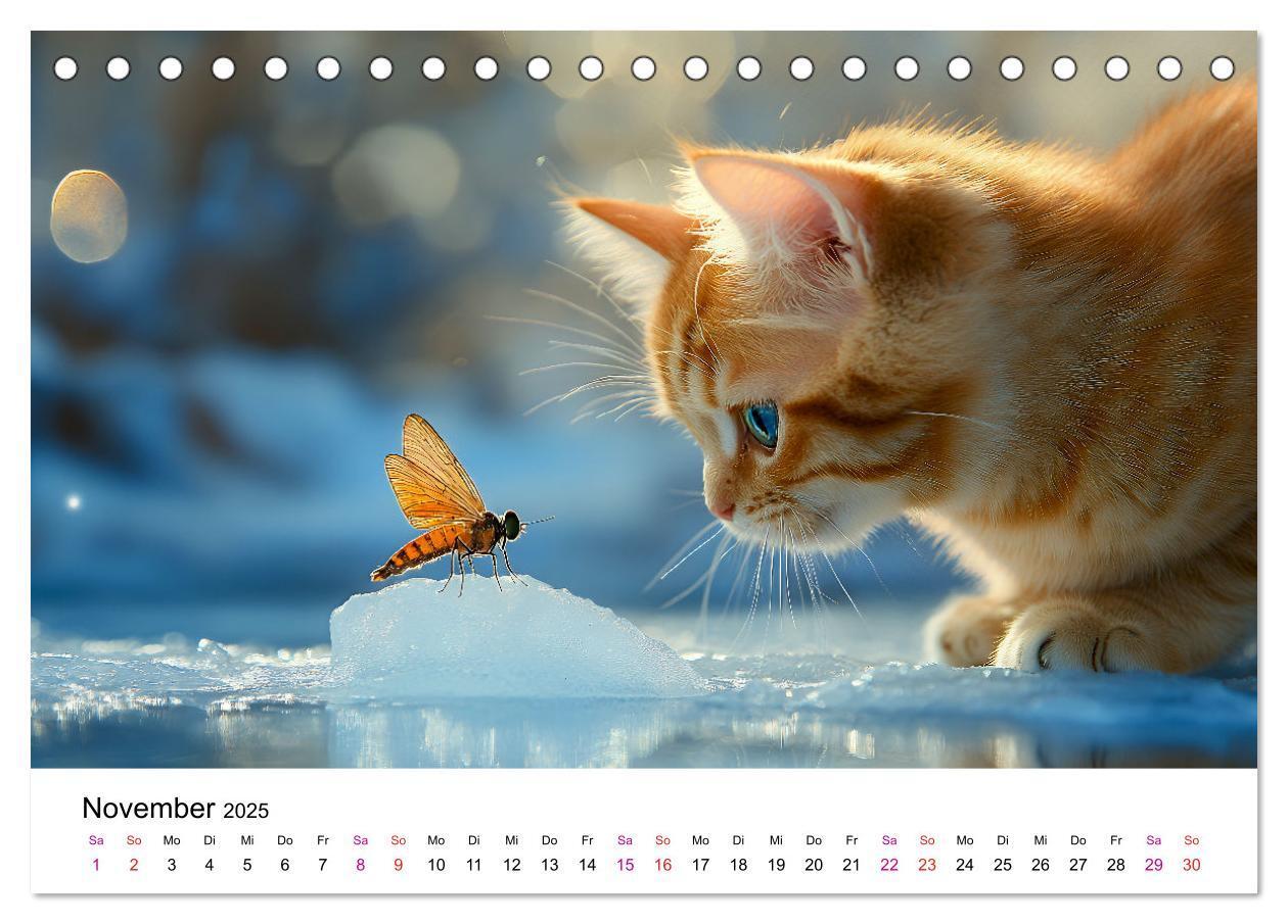 Bild: 9783457218334 | Katzenzauber - Samtpfoten im Jahreslauf (Tischkalender 2025 DIN A5...