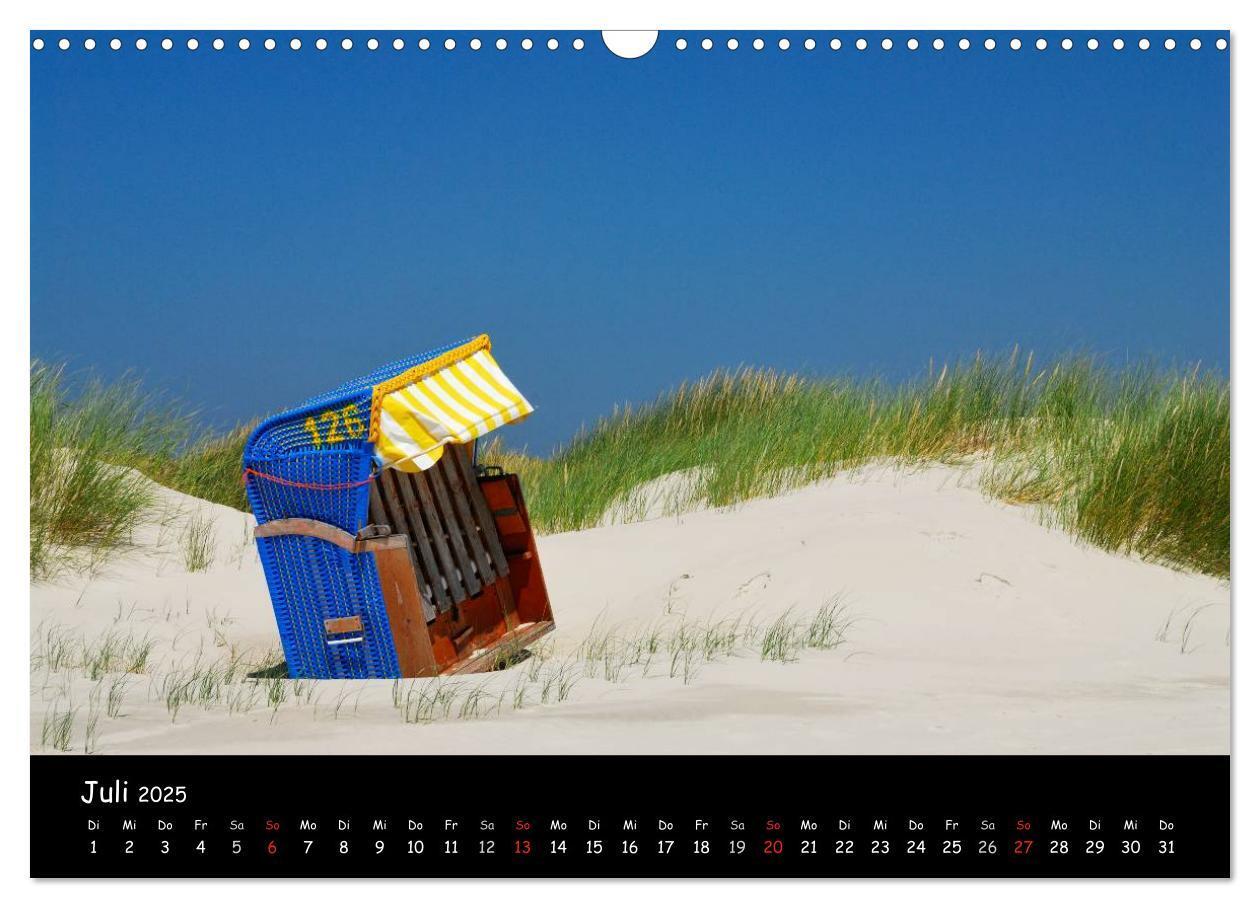 Bild: 9783435827275 | Amrum (Wandkalender 2025 DIN A3 quer), CALVENDO Monatskalender | 2025