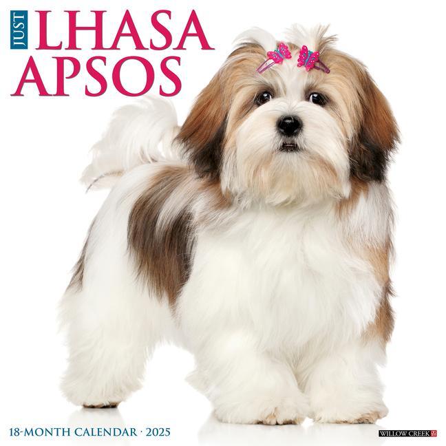 Cover: 9781549243707 | Just Lhasa Apsos 2025 12 X 12 Wall Calendar | Willow Creek Press