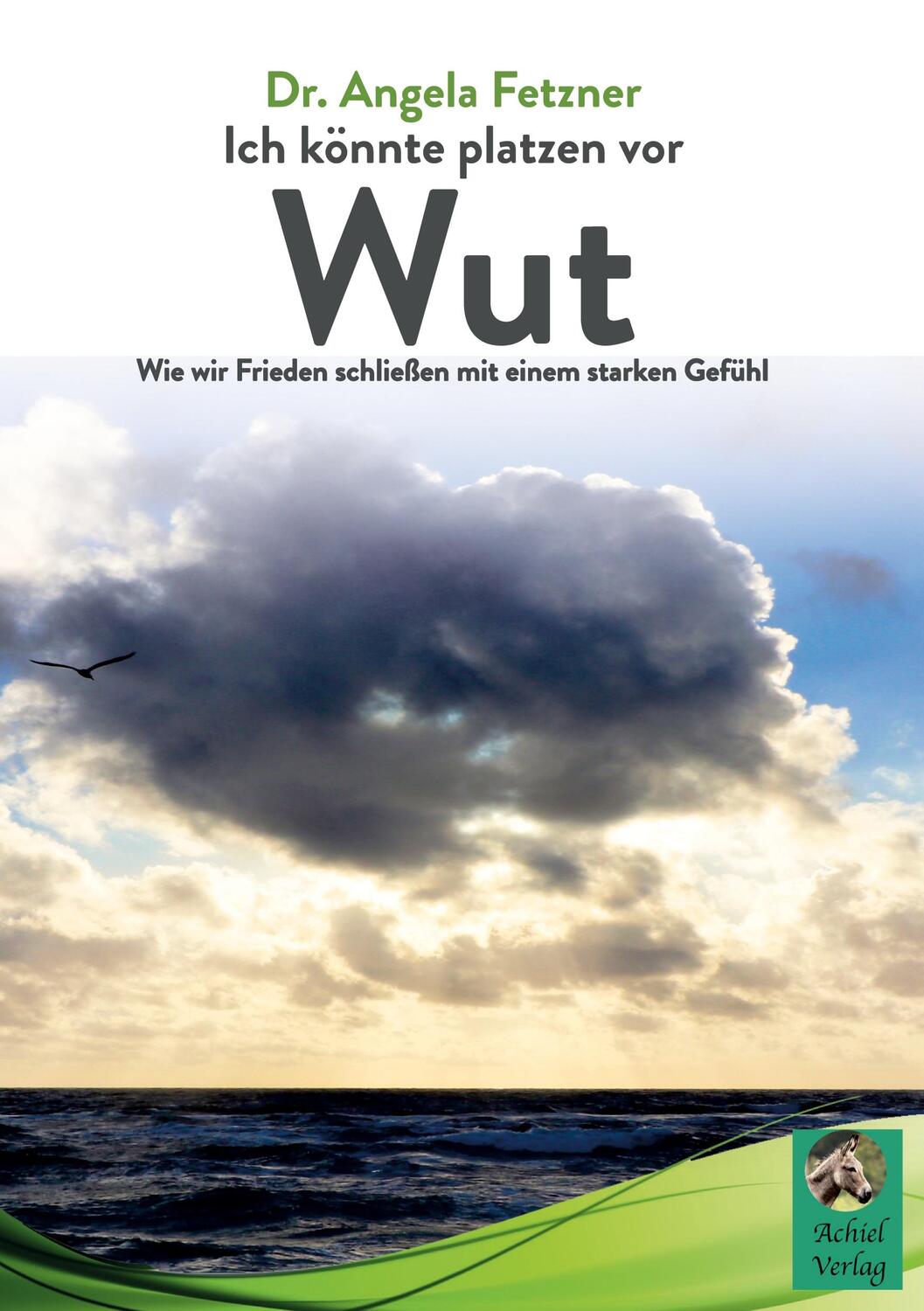 Cover: 9783986680602 | Ich könnte platzen vor Wut | Angela Fetzner | Buch | 252 S. | Deutsch