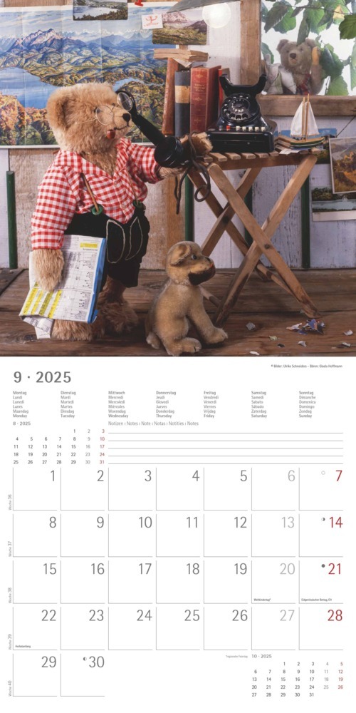 Bild: 4251732340643 | Alpha Edition - Teddy 2025 Broschürenkalender, 30x30cm,...