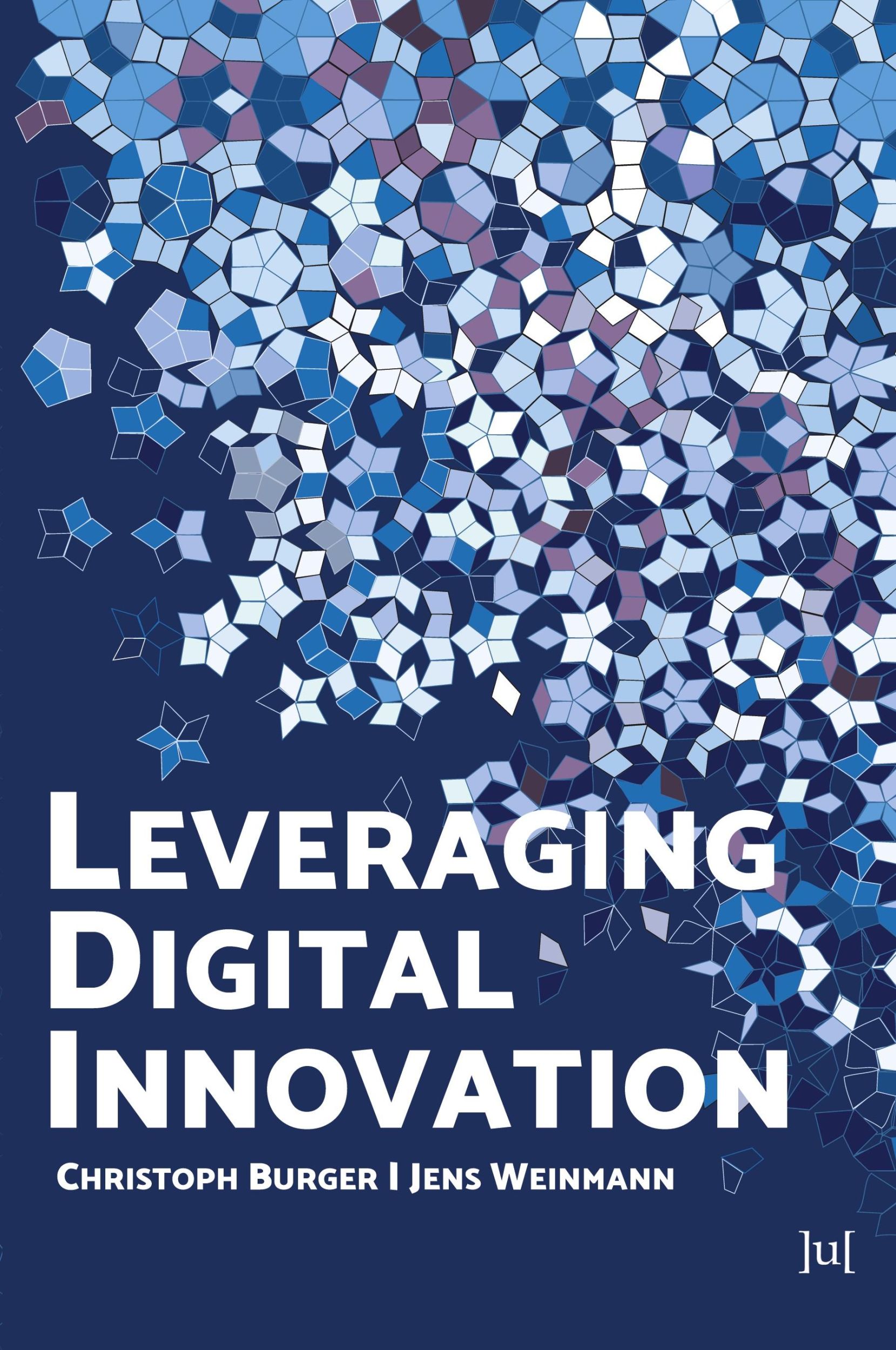 Cover: 9781914481529 | Leveraging Digital Innovation | Lessons for Implementation | Buch