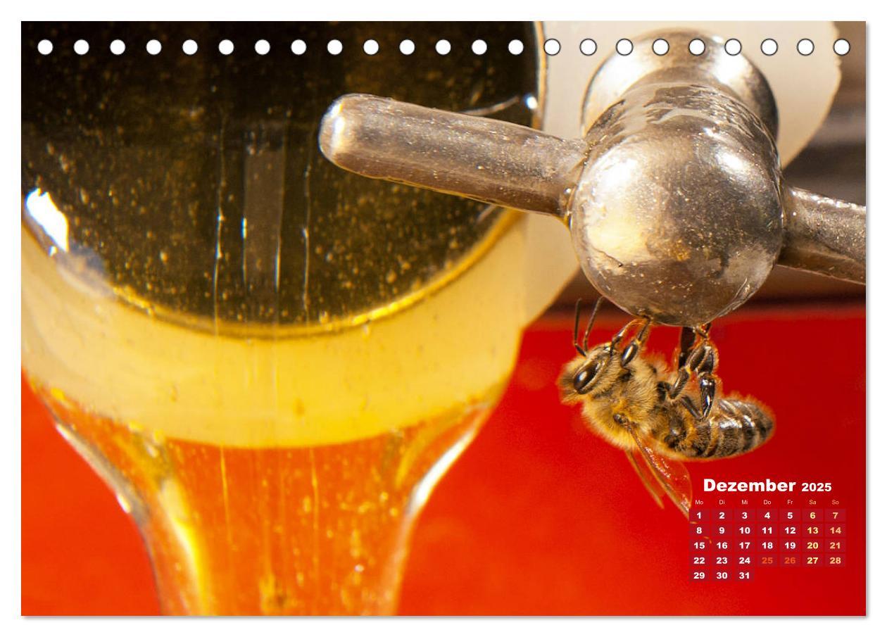 Bild: 9783435124435 | Ein Leben für den Honig - Bienen und Imker (Tischkalender 2025 DIN...