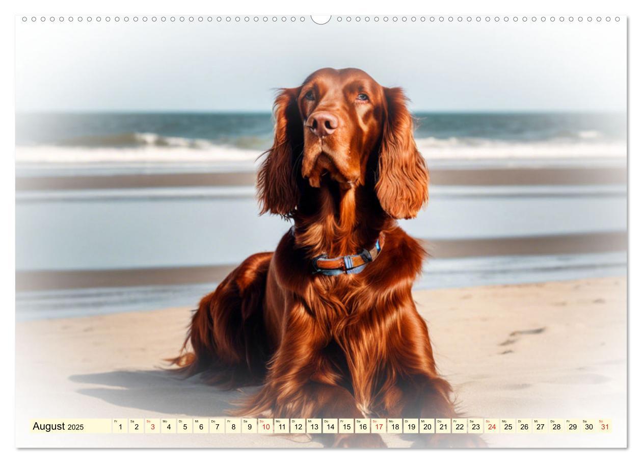 Bild: 9783435372348 | Rasseportraits - Hunde (hochwertiger Premium Wandkalender 2025 DIN...