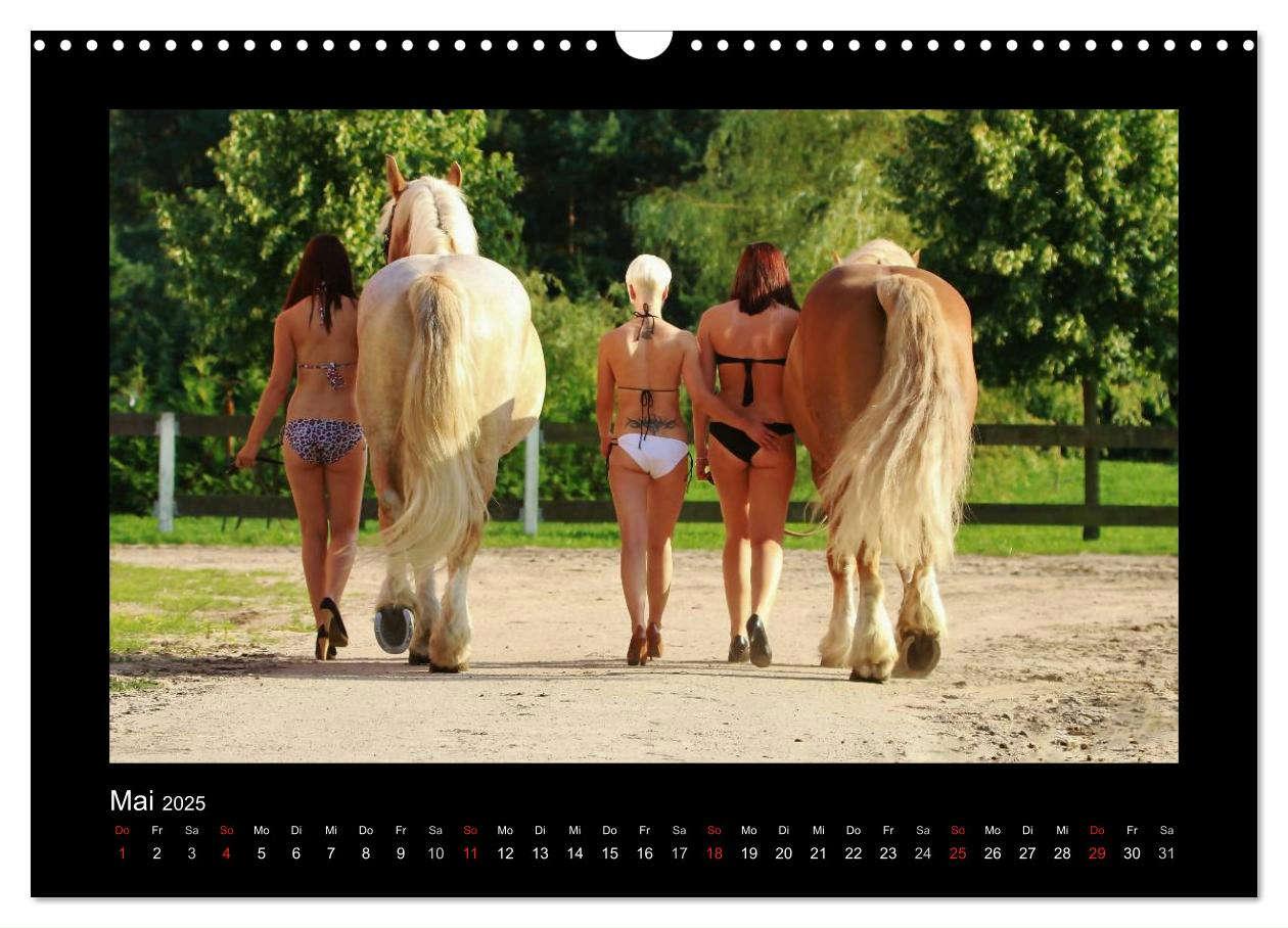 Bild: 9783435750740 | Sexy Horse Girls 2025 - Heiße Girls und starke Kaltblutpferde!...