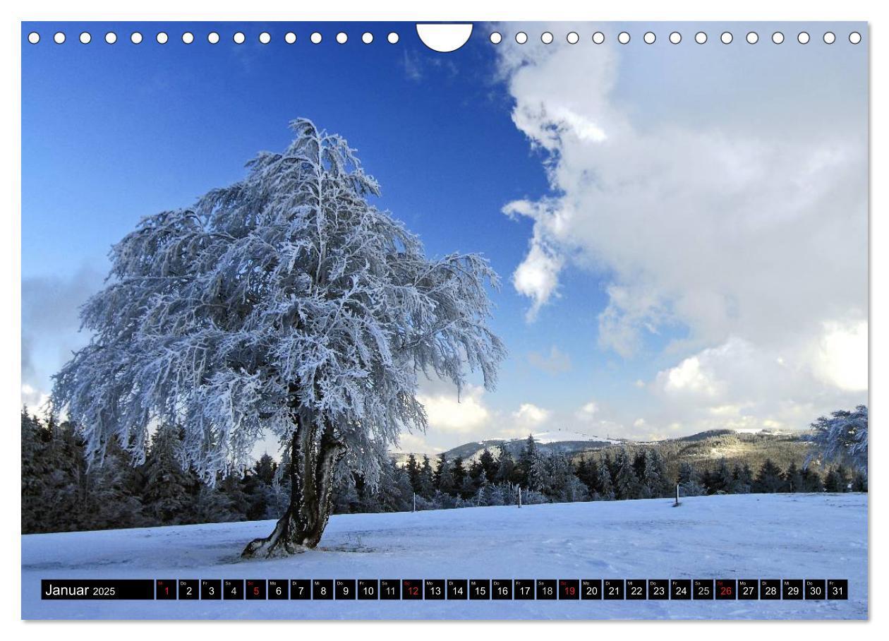 Bild: 9783435676132 | Romantischer Schwarzwald (Wandkalender 2025 DIN A4 quer), CALVENDO...