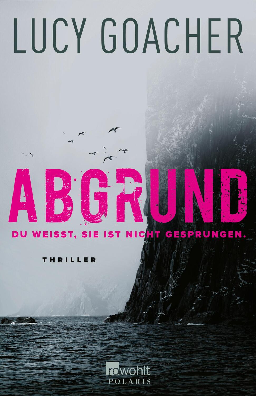 Cover: 9783499009754 | Abgrund | Du weißt, sie ist nicht gesprungen. | Lucy Goacher | Buch