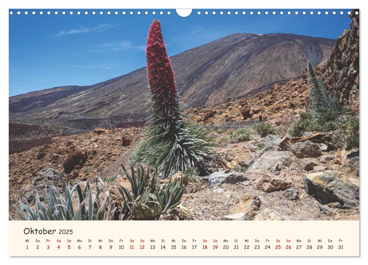 Bild: 9783435122639 | Teneriffa in Bildern (Wandkalender 2025 DIN A3 quer), CALVENDO...