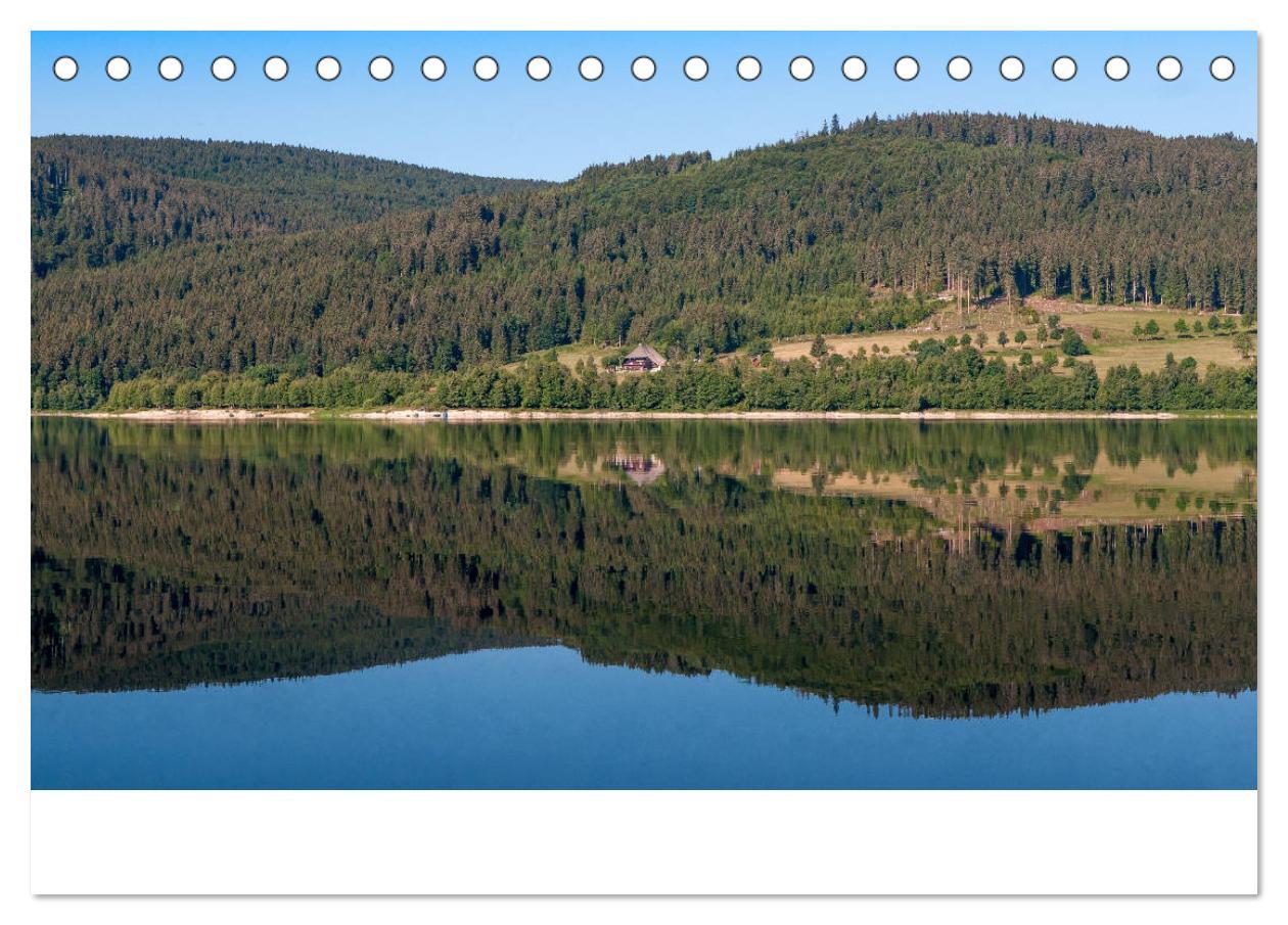 Bild: 9783435361670 | Schluchsee Naturpark Südschwarzwald (Tischkalender 2025 DIN A5...