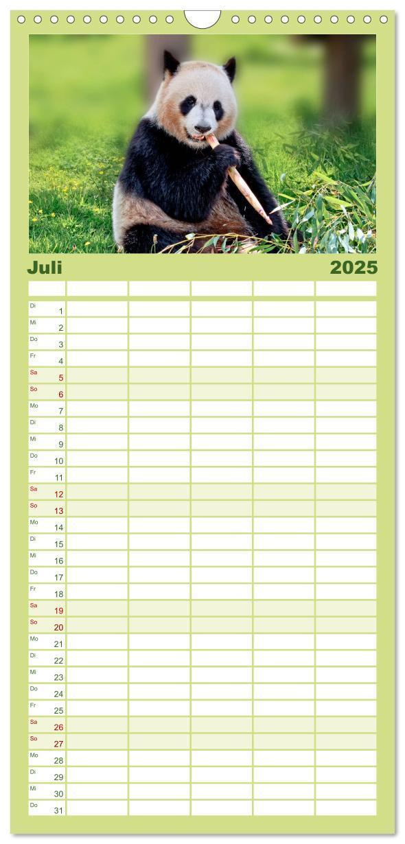 Bild: 9783457116166 | Familienplaner 2025 - Niedlicher Panda mit 5 Spalten (Wandkalender,...