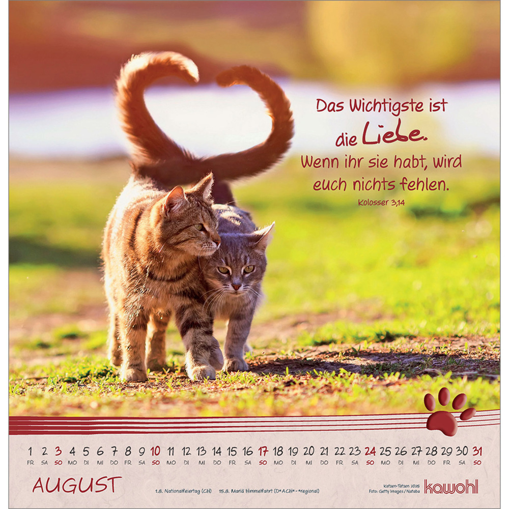 Bild: 9783754829851 | Kleine Katzen-Tatzen 2025 | Kalender | Spiralbindung. Spiralbindung