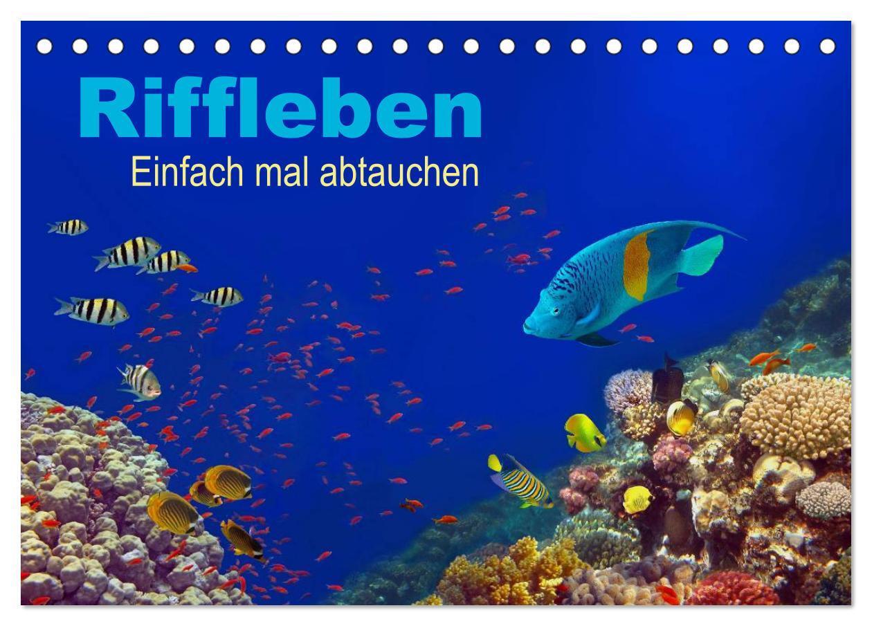 Cover: 9783435606849 | Riffleben - Einfach mal abtauchen (Tischkalender 2025 DIN A5 quer),...