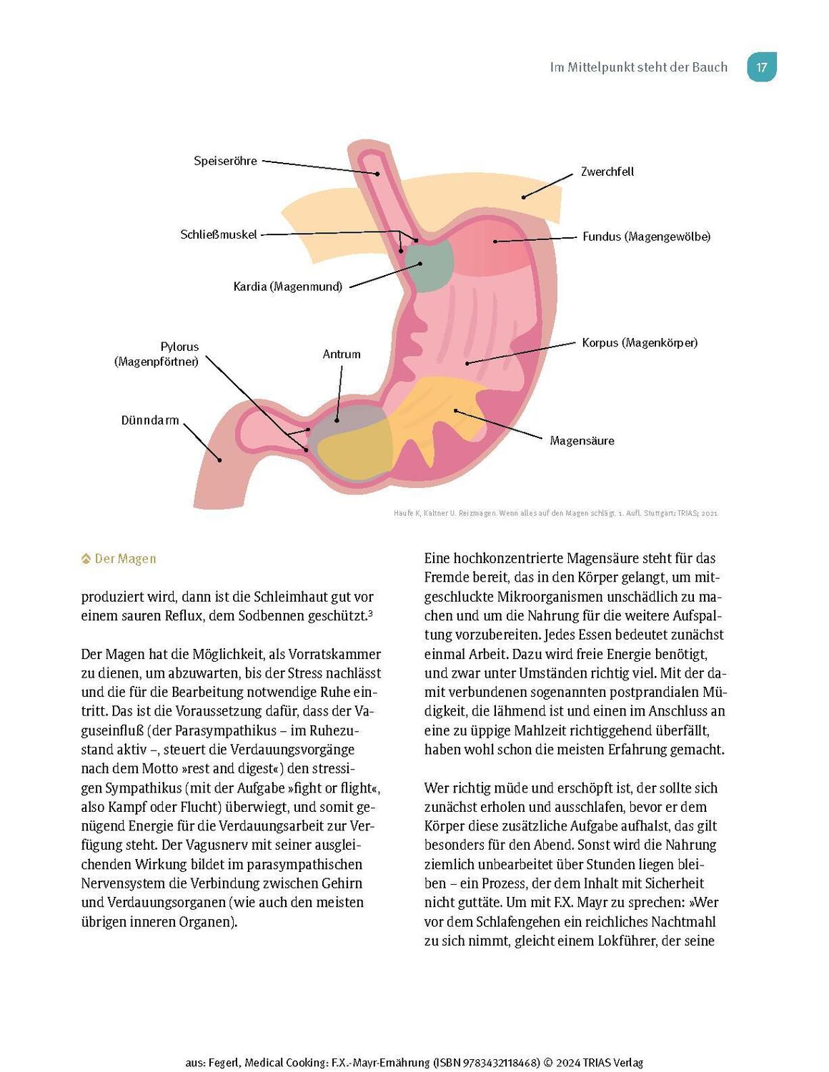 Bild: 9783432118468 | Medical Cooking: F.X. Mayr-Ernährung | Sepp Fegerl (u. a.) | Buch