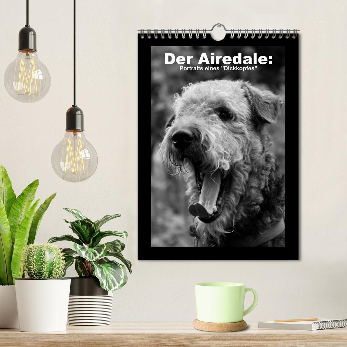 Bild: 9783457051344 | Der Airedale: Portraits eines "Dickkopfes" (Wandkalender 2025 DIN...