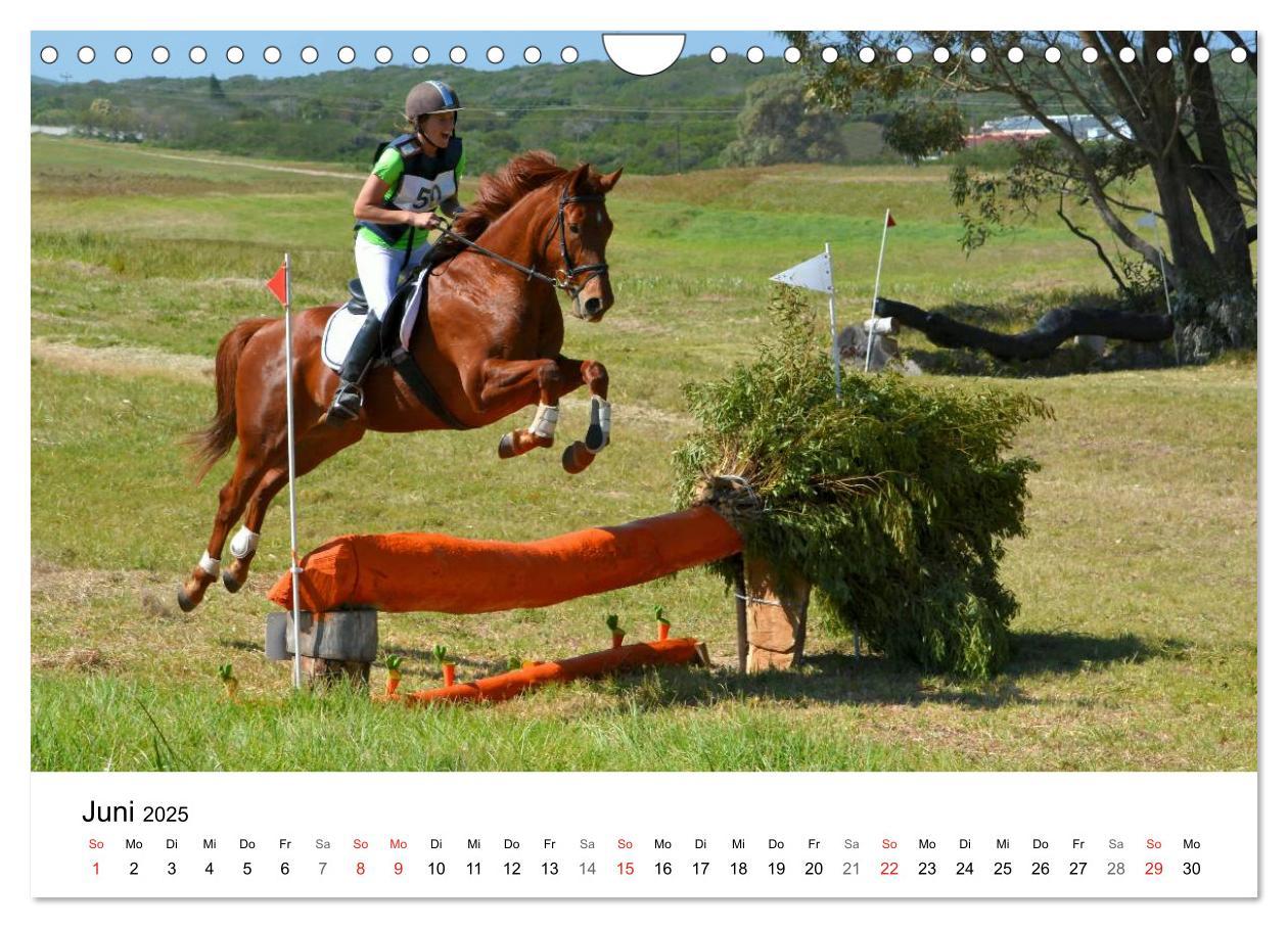 Bild: 9783435618507 | Vielseitigkeitsreiten (Wandkalender 2025 DIN A4 quer), CALVENDO...