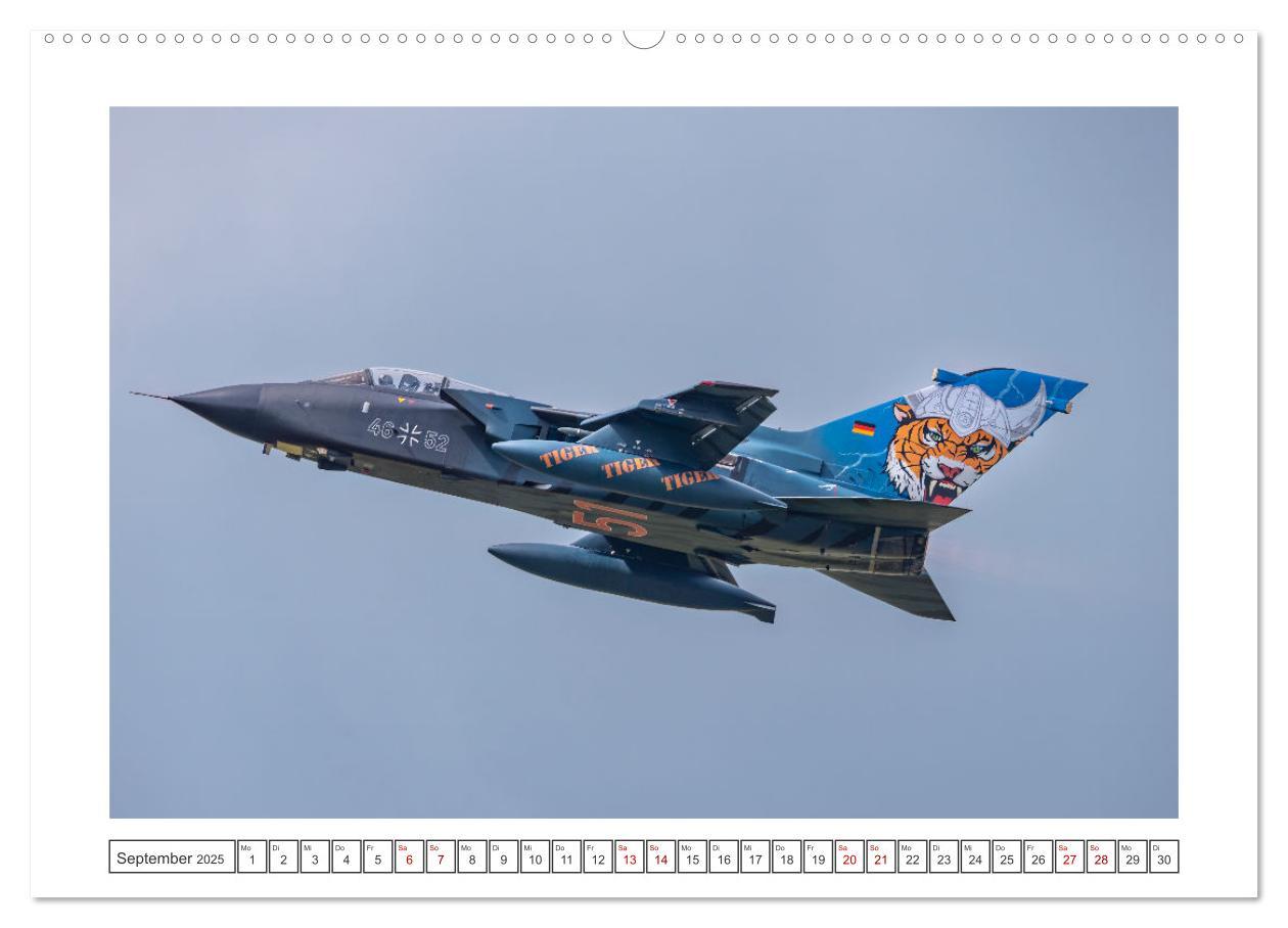 Bild: 9783457154243 | Tiger Meet Schleswig (Wandkalender 2025 DIN A2 quer), CALVENDO...