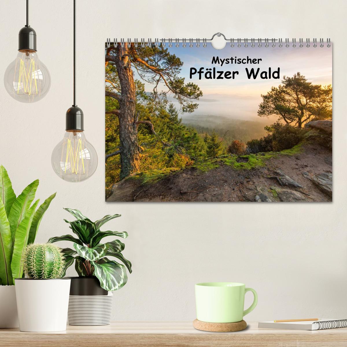 Bild: 9783435592883 | Mystischer Pfälzer Wald (Wandkalender 2025 DIN A4 quer), CALVENDO...