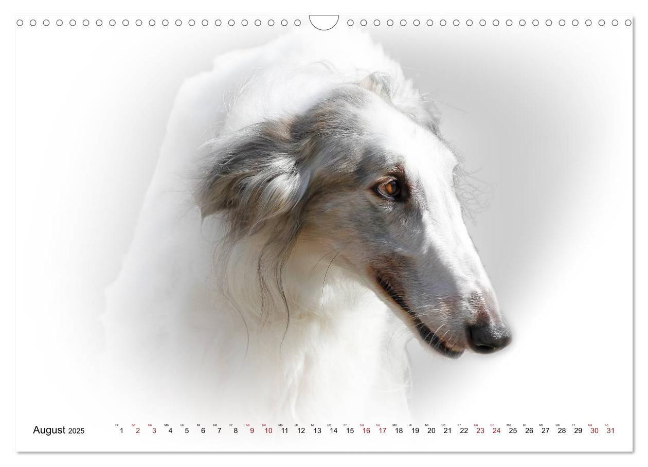 Bild: 9783383823978 | Windhund Portrait 2025 White Edition (Wandkalender 2025 DIN A3...