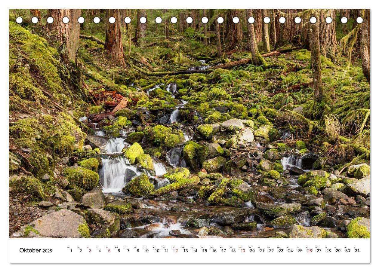 Bild: 9783435605187 | The Olympic National Park - Washington USA (Tischkalender 2025 DIN...