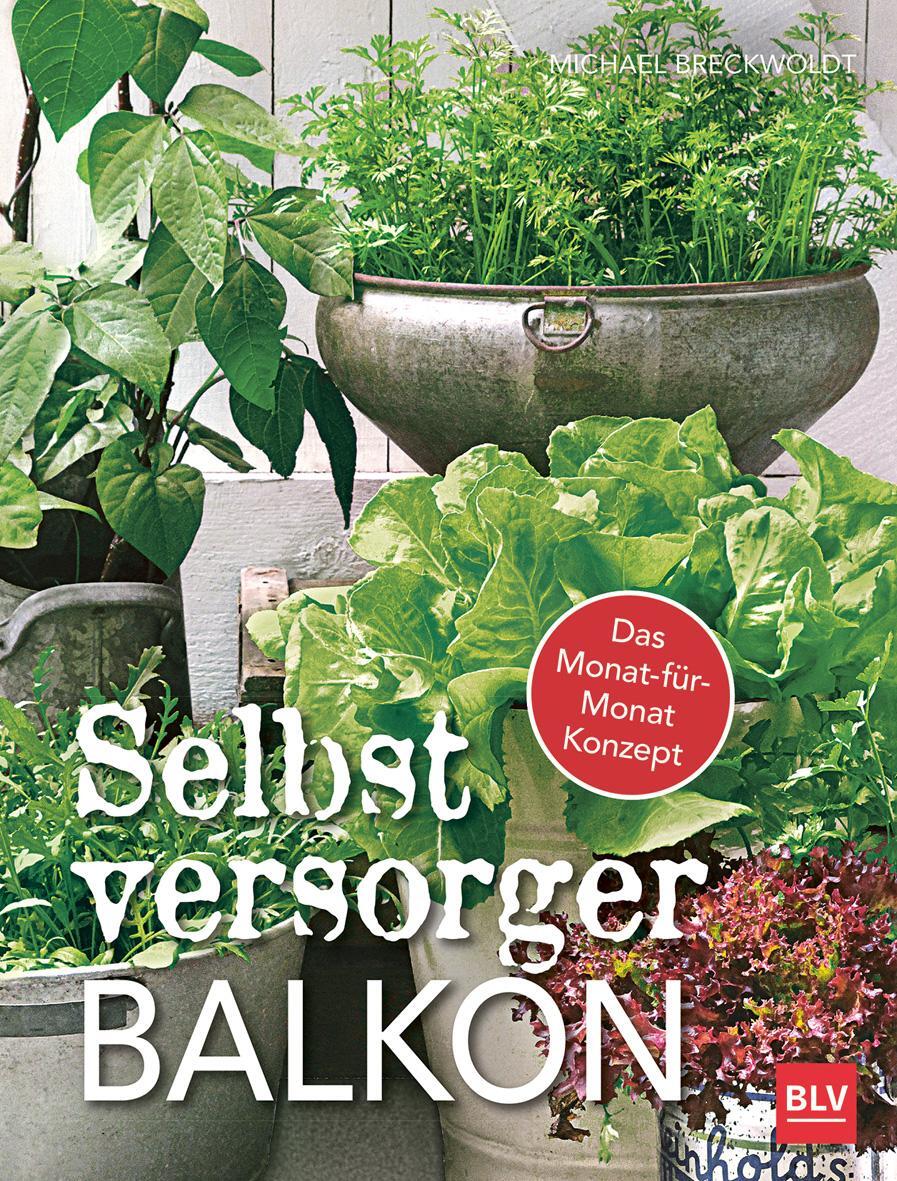 Cover: 9783835416284 | Selbstversorger-Balkon | Das Monat-für-Monat Konzept | Breckwoldt