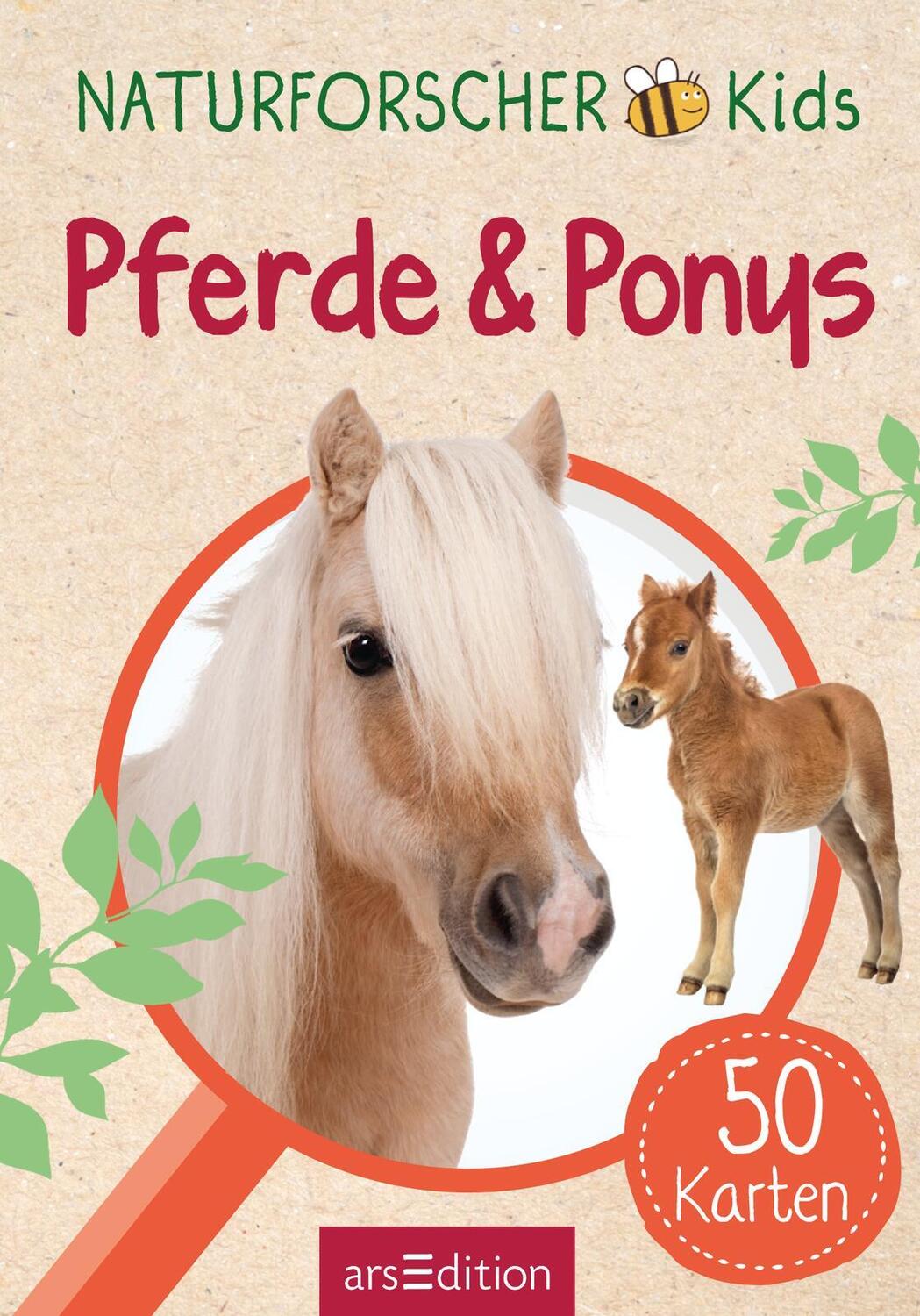 Bild: 9783845856582 | Naturforscher-Kids - Pferde &amp; Ponys | 50 Karten | Miriam Scholz | Buch