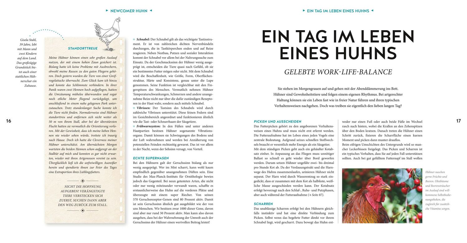 Bild: 9783833866432 | Hühner Basics | Hühnerhaltung für Anfänger | Esther Schmidt | Buch