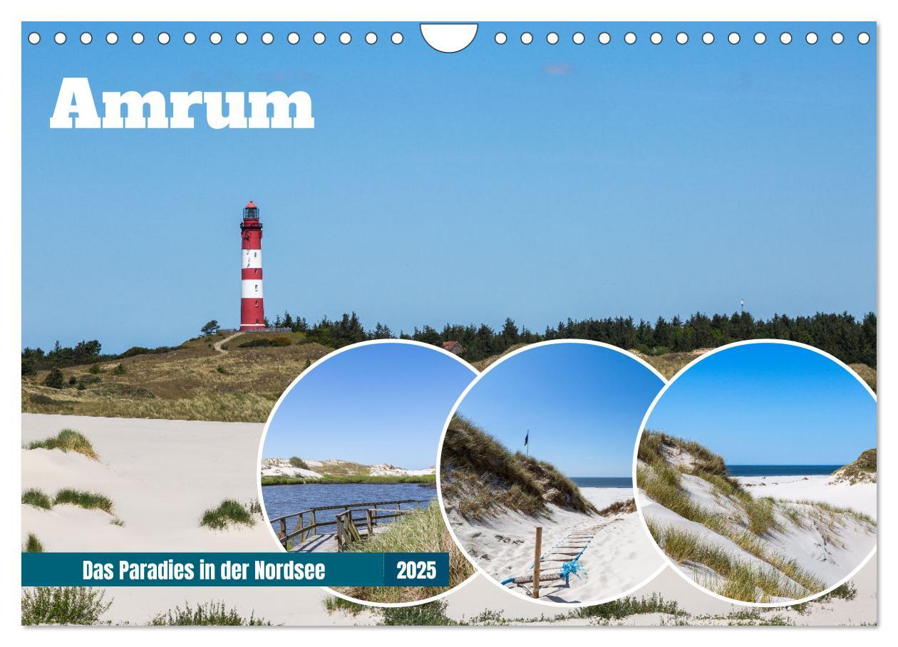 Cover: 9783383861031 | Amrum - Das Paradies in der Nordsee (Wandkalender 2025 DIN A4...