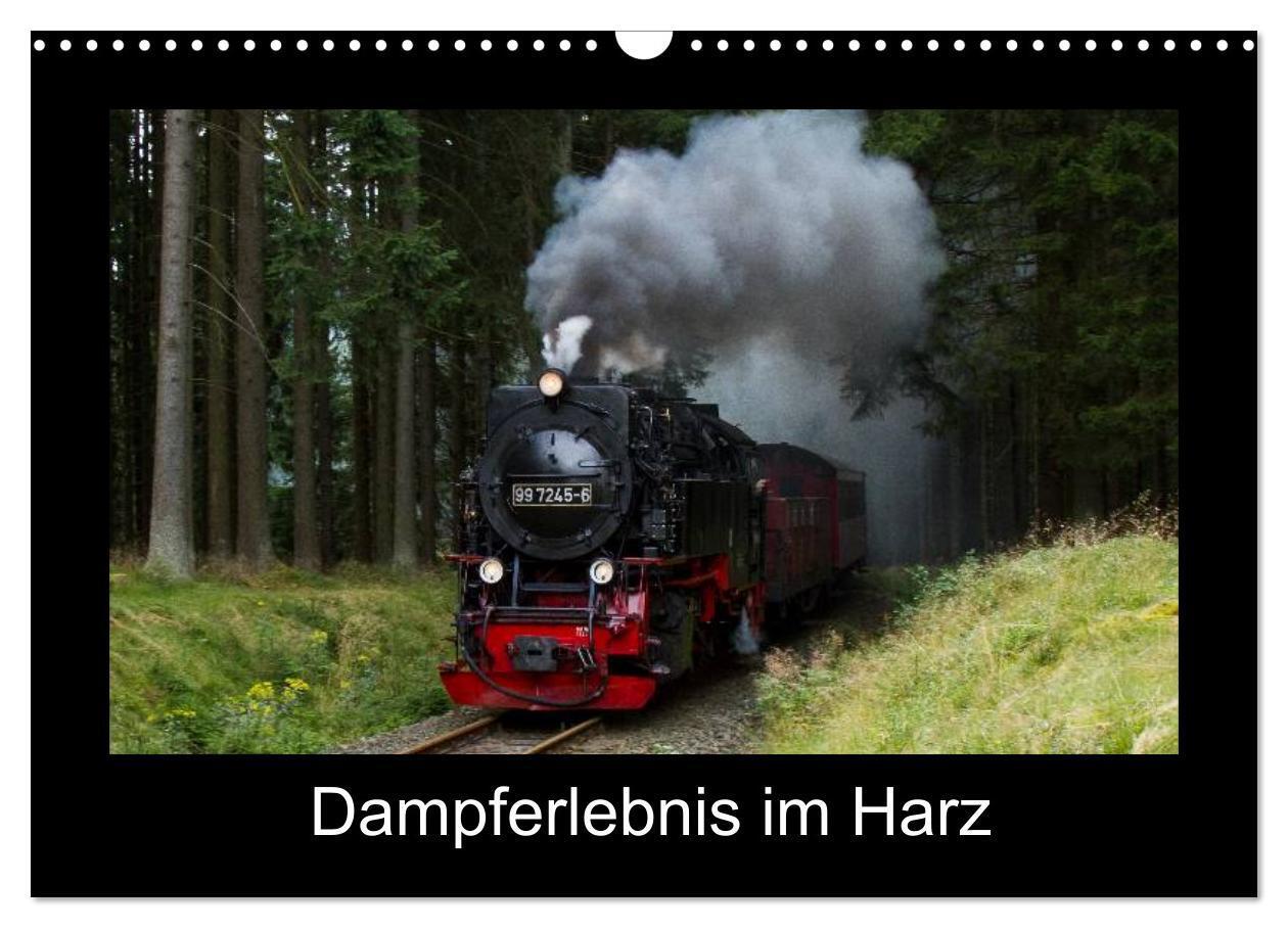 Cover: 9783435674060 | Dampferlebnis im Harz (Wandkalender 2025 DIN A3 quer), CALVENDO...