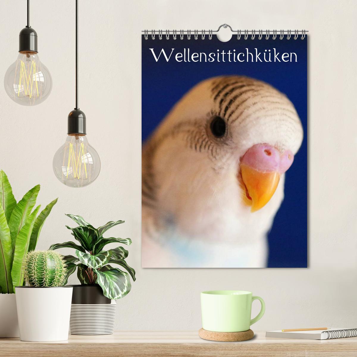 Bild: 9783435987535 | Wellensittichküken (Wandkalender 2025 DIN A4 hoch), CALVENDO...