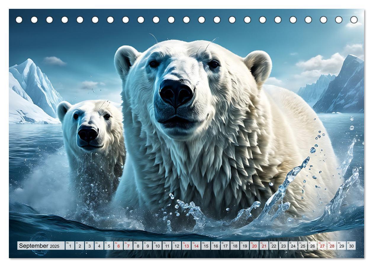 Bild: 9783383859762 | Im magischen Land der Eisbären (Tischkalender 2025 DIN A5 quer),...