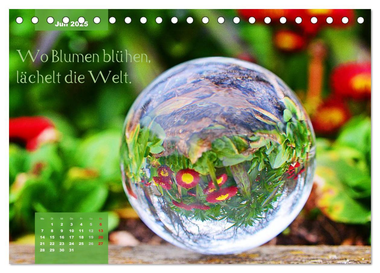 Bild: 9783435541317 | Die Welt in der Kugel (Tischkalender 2025 DIN A5 quer), CALVENDO...