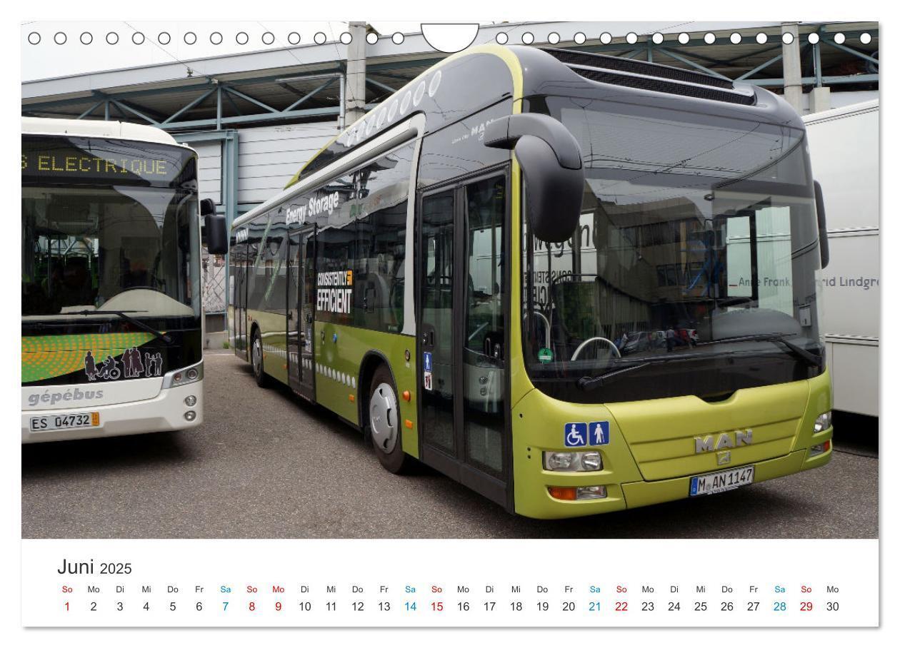 Bild: 9783383829895 | Omnibusse im Fokus (Wandkalender 2025 DIN A4 quer), CALVENDO...