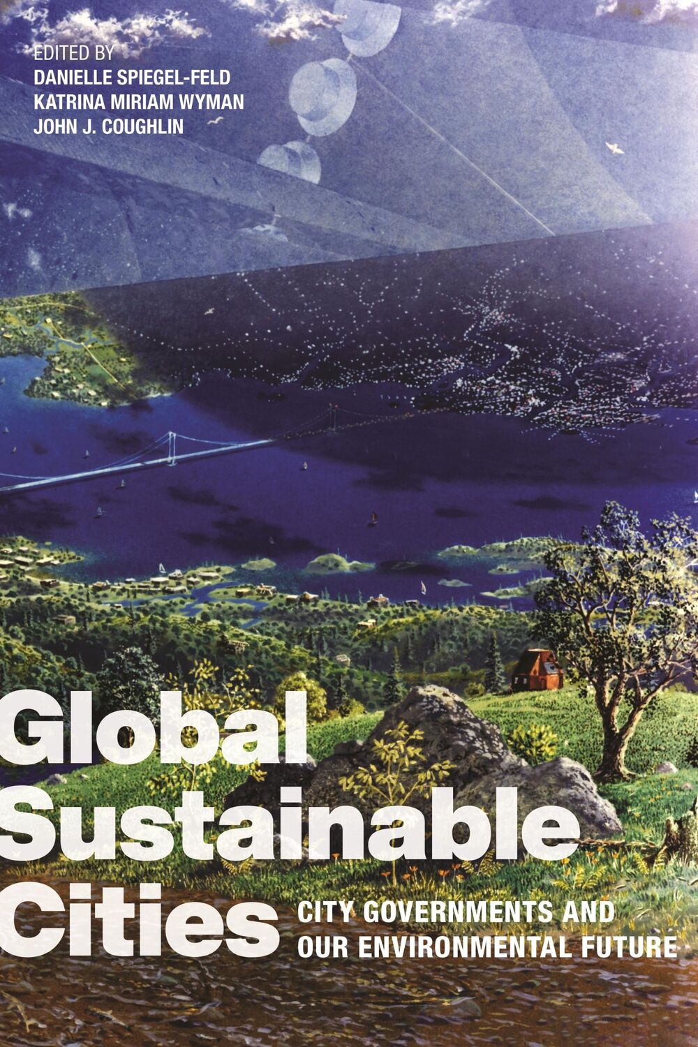 Cover: 9781479805754 | Global Sustainable Cities | Danielle Spiegel-Feld (u. a.) | Buch