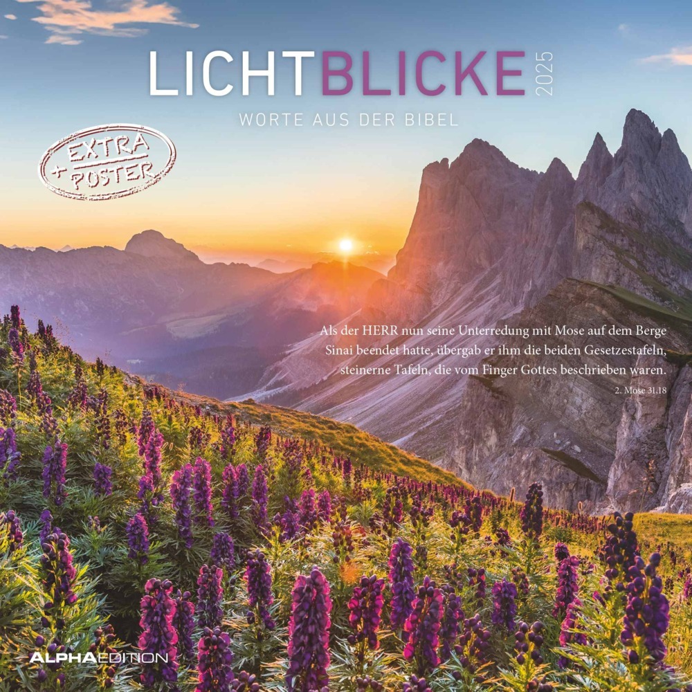 Cover: 4251732343156 | Alpha Edition - Lichtblicke 2025 Broschürenkalender, 30x30cm,...