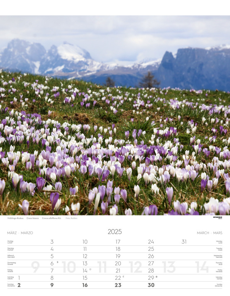 Bild: 9788868397418 | Alpen Kalender 2025 | Alpi - Alps | Athesia-Tappeiner Verlag | 14 S.