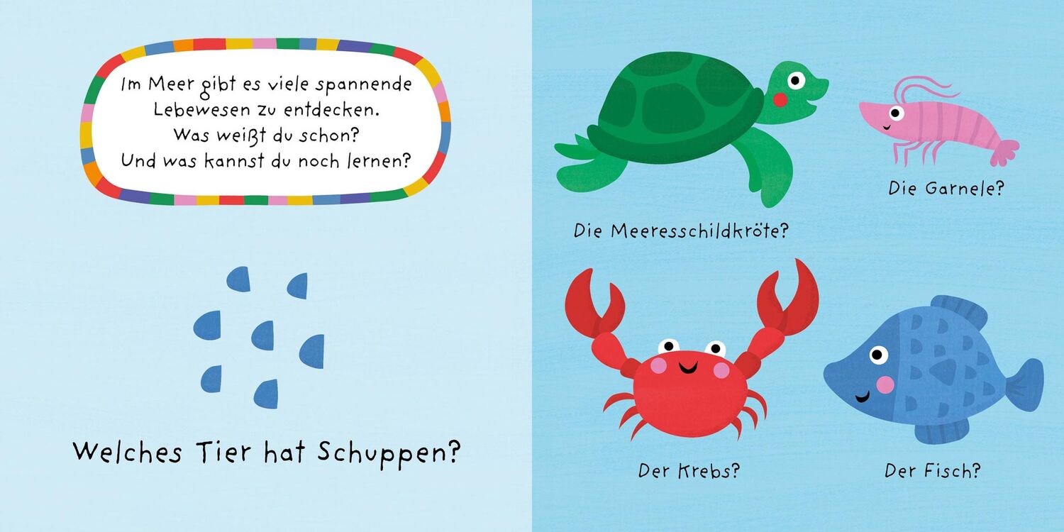 Bild: 9783734815560 | Mein buntes Quiz - Das Meer | Nastja Holtfreter | Buch | 16 S. | 2022