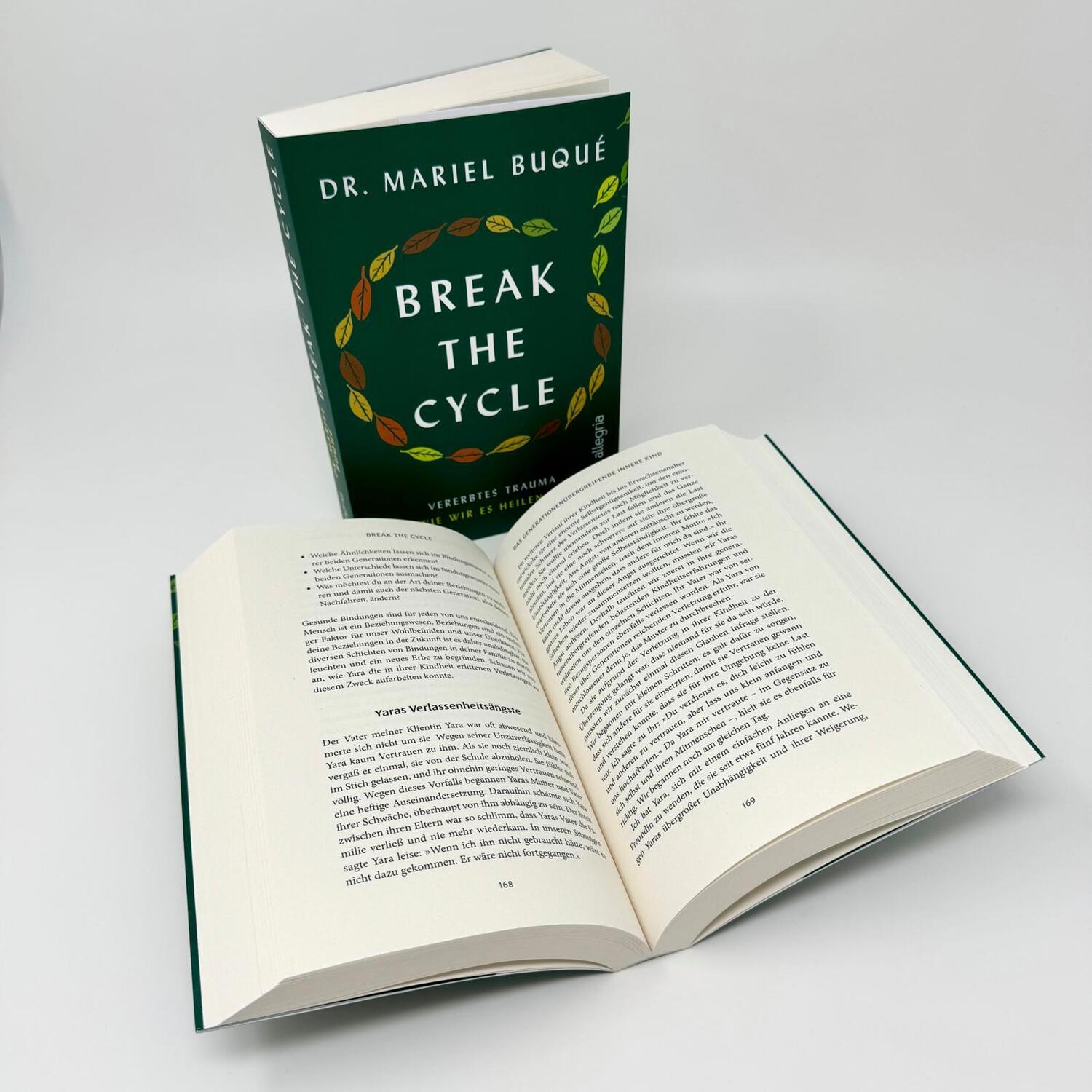 Bild: 9783793424635 | Break the Cycle | Mariel Buqué | Taschenbuch | 336 S. | Deutsch | 2024