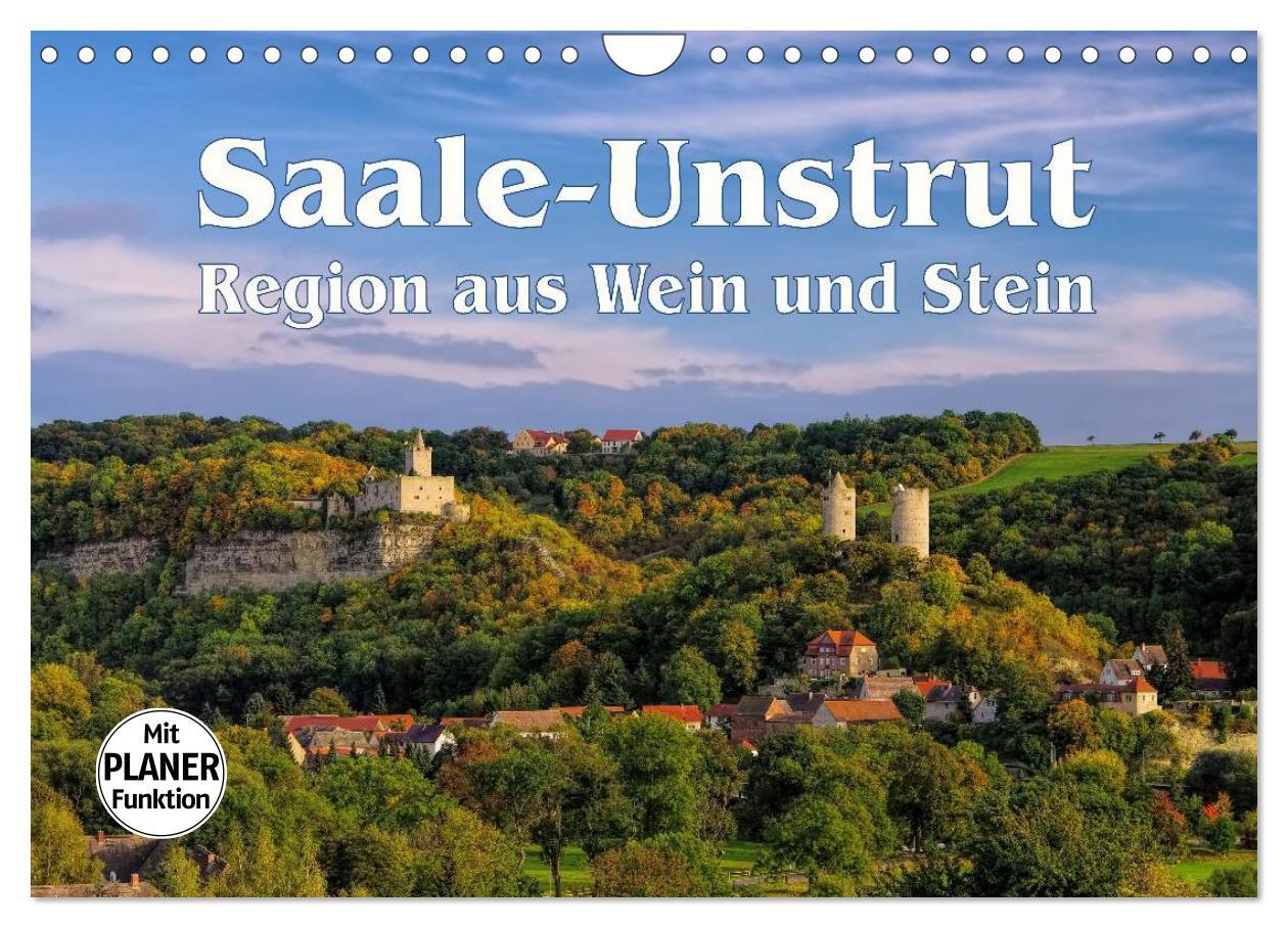 Cover: 9783435508006 | Saale-Unstrut - Region aus Wein und Stein (Wandkalender 2025 DIN A4...