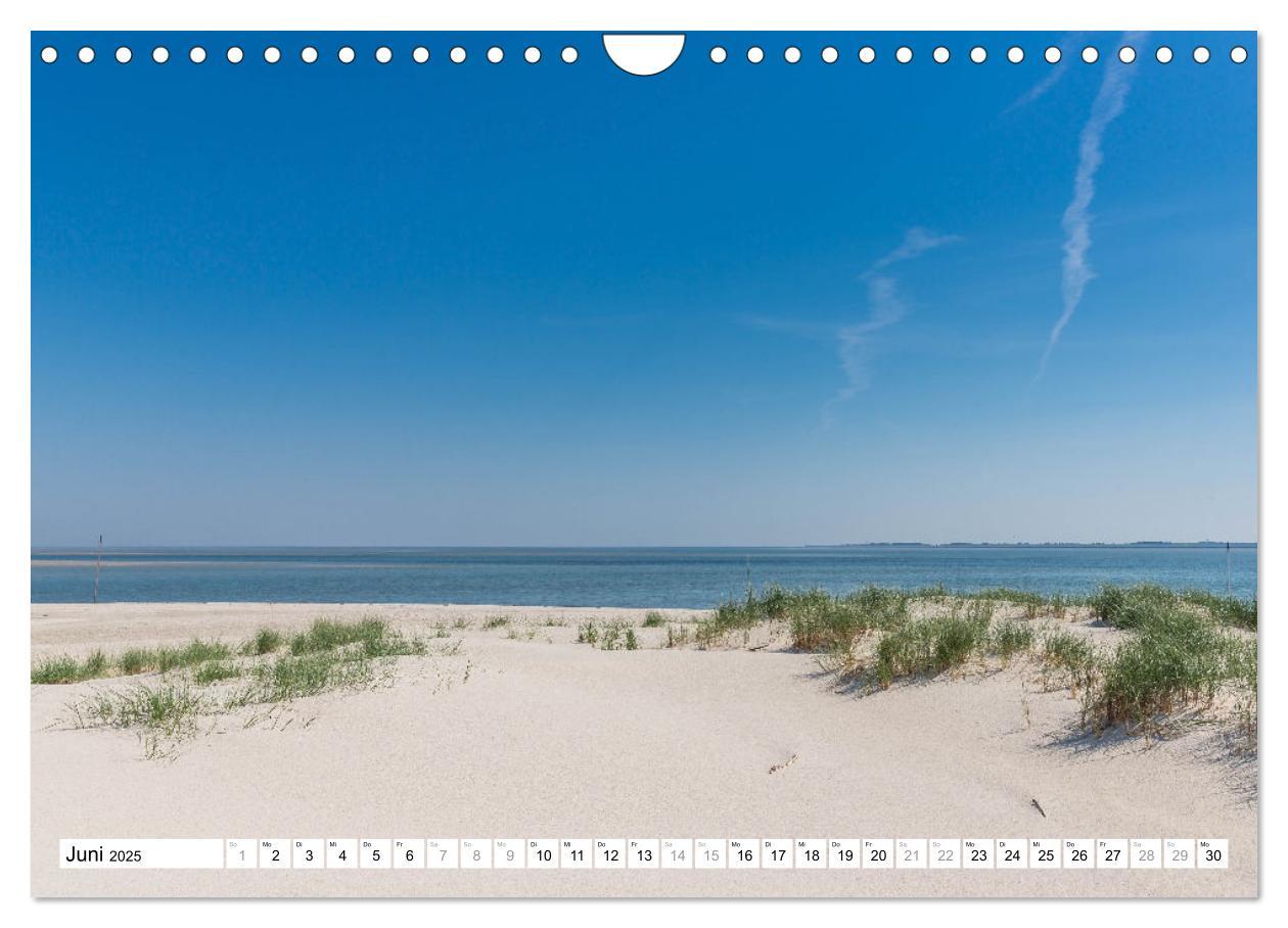 Bild: 9783383962479 | Amrum - Perle im nordfriesischen Wattenmeer (Wandkalender 2025 DIN...