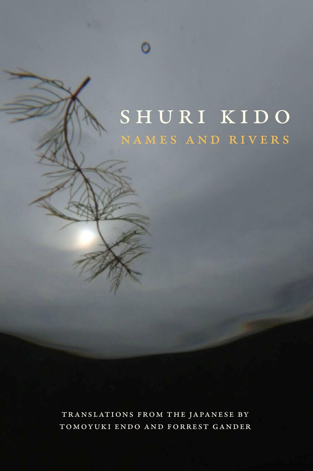 Cover: 9781556596612 | Names and Rivers | Shuri Kido | Taschenbuch | Kartoniert / Broschiert