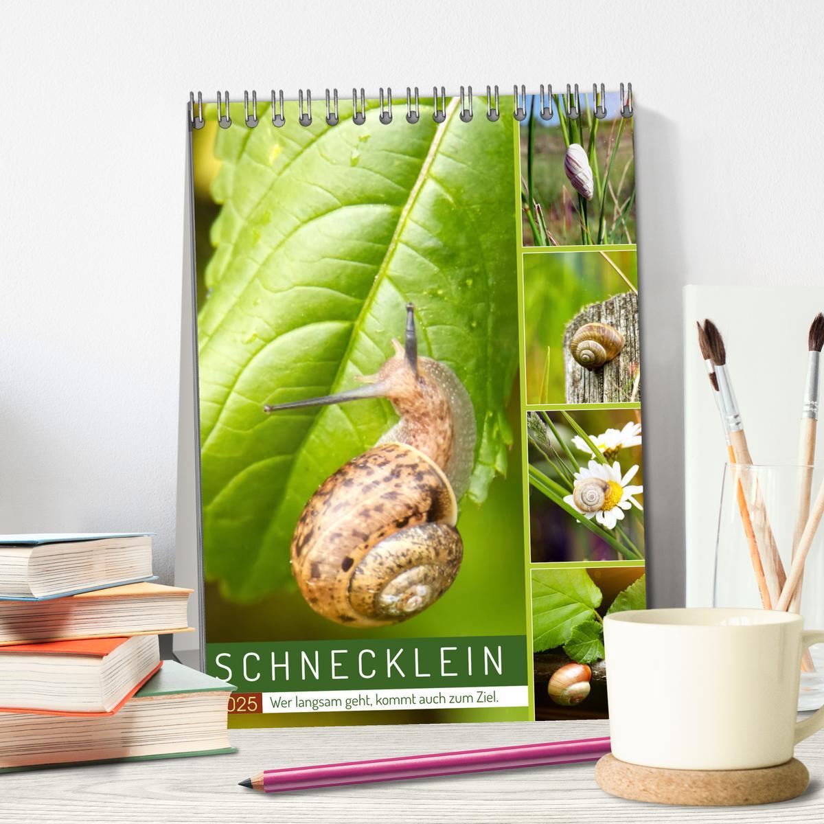 Bild: 9783435899906 | Schnecklein (Tischkalender 2025 DIN A5 hoch), CALVENDO Monatskalender