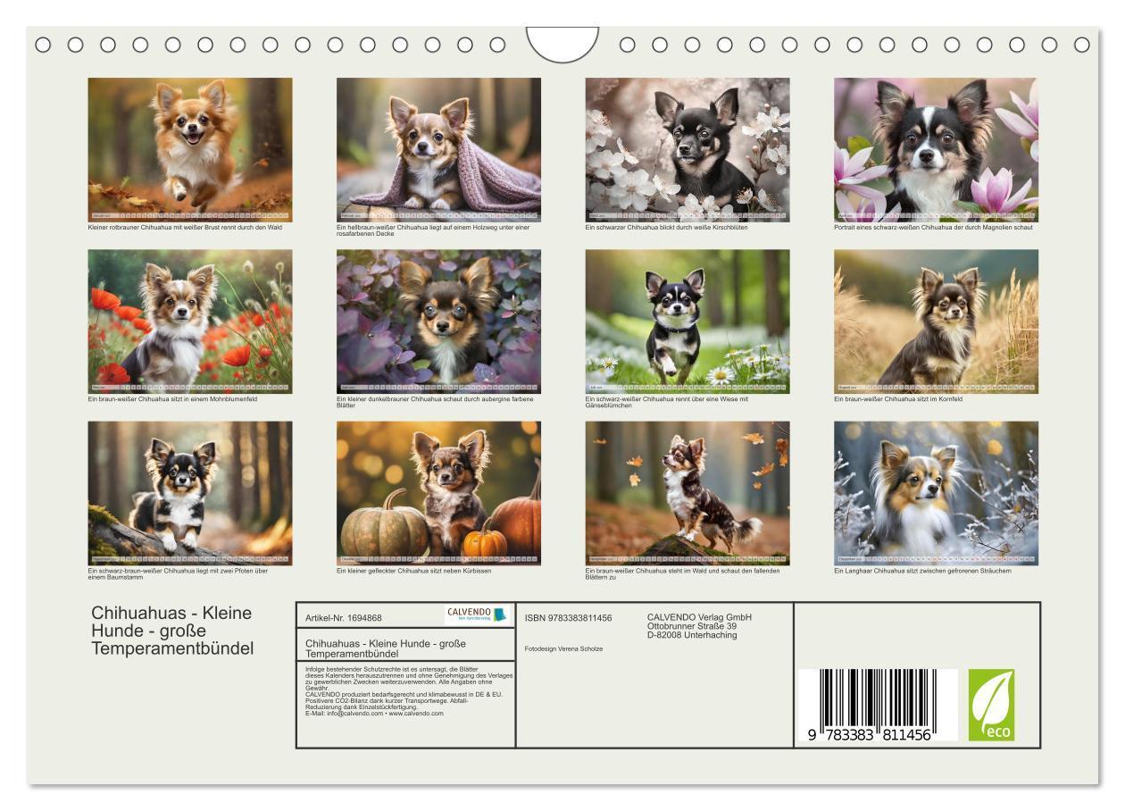 Bild: 9783383811456 | Chihuahuas - Kleine Hunde - große Temperamentbündel (Wandkalender...