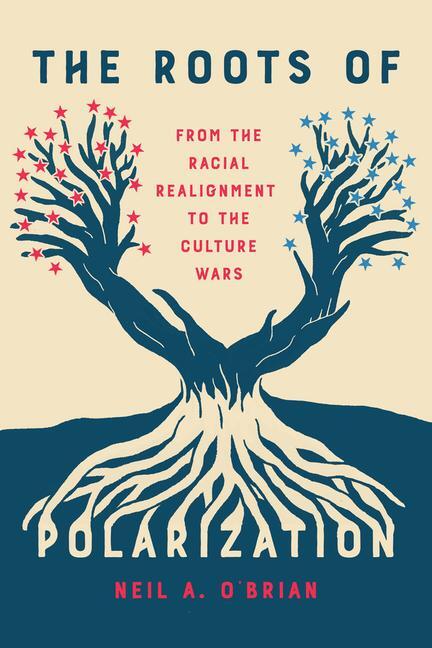 Cover: 9780226834566 | The Roots of Polarization | Neil A. O'Brian | Taschenbuch | Englisch