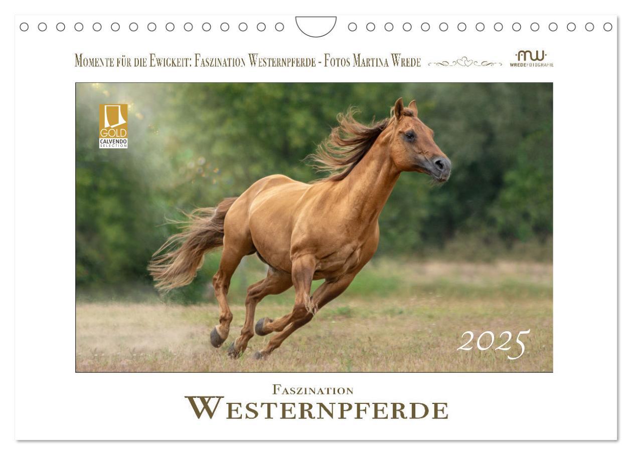 Cover: 9783435087747 | Faszination Westernpferde (Wandkalender 2025 DIN A4 quer), CALVENDO...