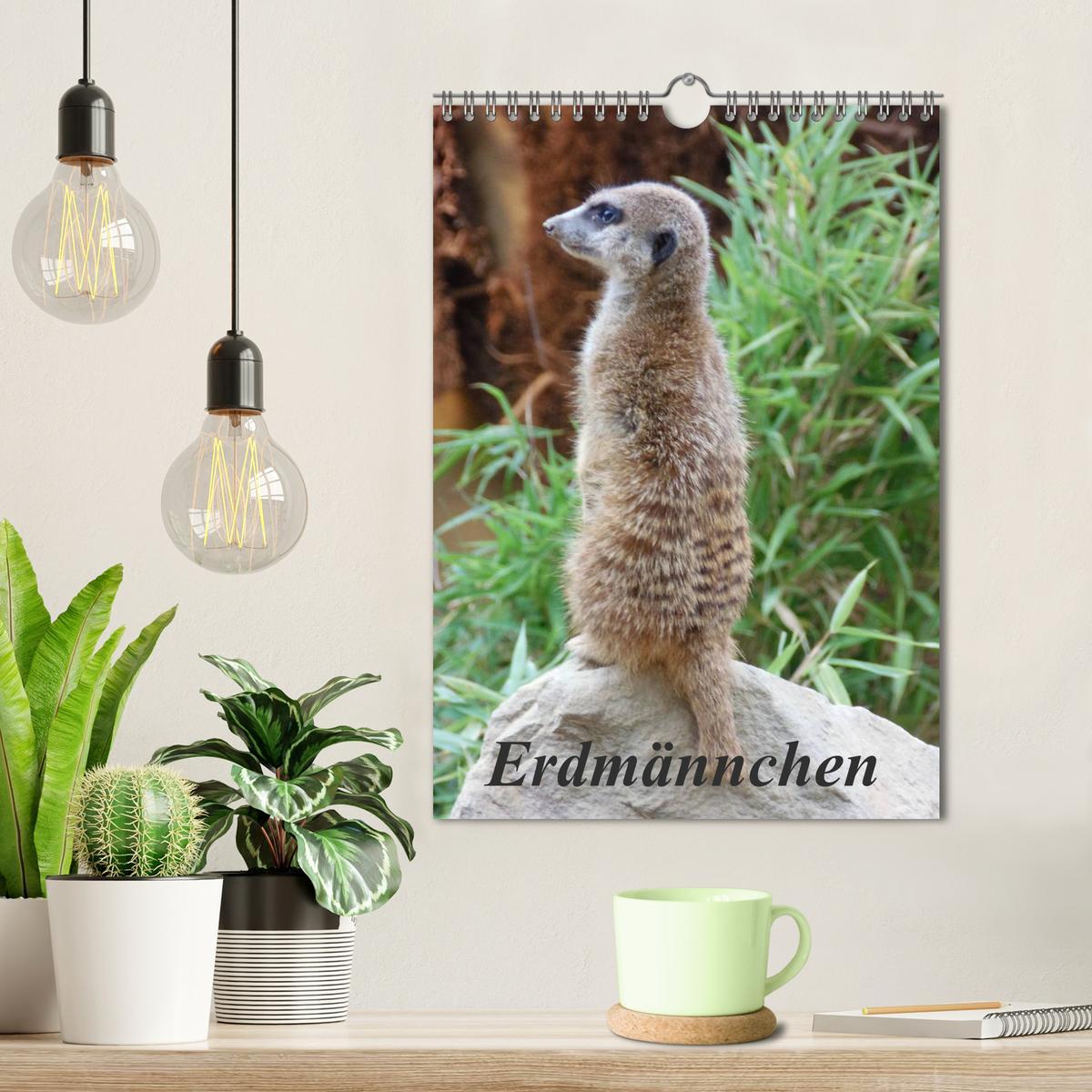 Bild: 9783457080597 | Erdmännchen (Wandkalender 2025 DIN A4 hoch), CALVENDO Monatskalender