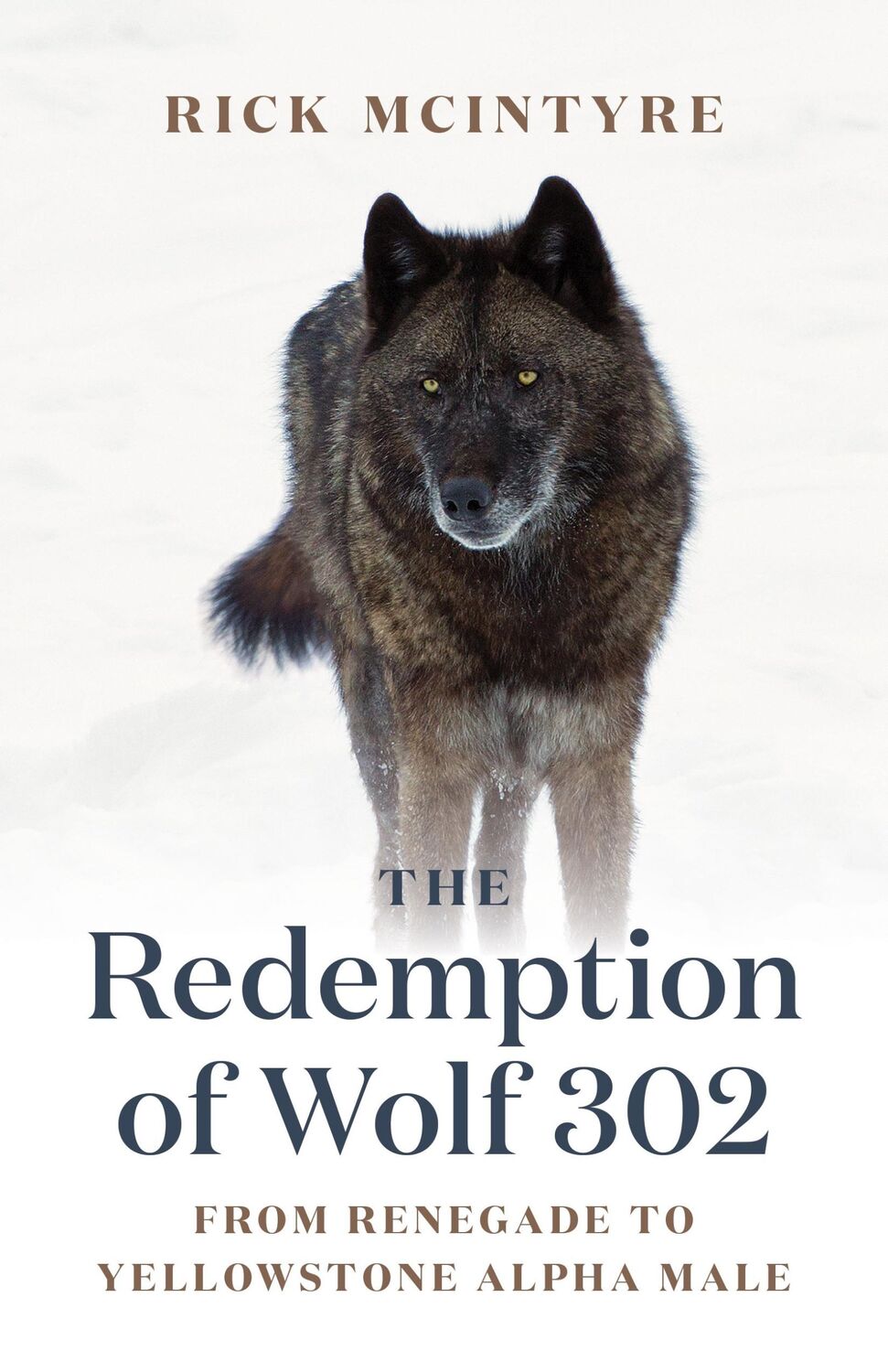 Cover: 9781771645270 | The Redemption of Wolf 302 | From Renegade to Yellowstone Alpha Male